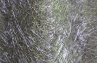 Sheringwood fibreglass roof work